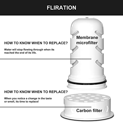 LifeSt Home Dispenser Filter (2 Count)