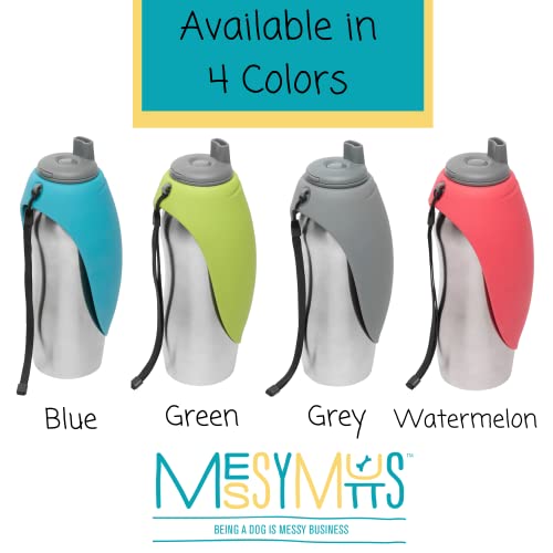 Travel Water Bottle