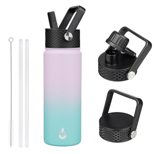 22oz Insulated Water Bottle with Straw Lid