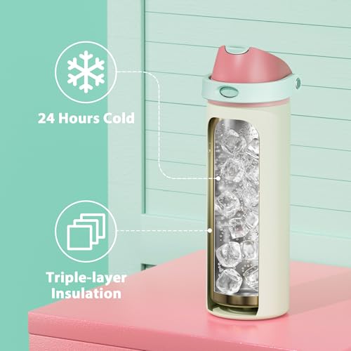 24 oz Insulated Water Bottle with Straw