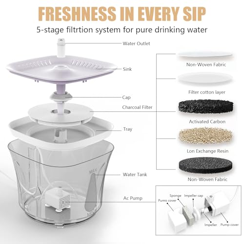 Cat Water Fountain