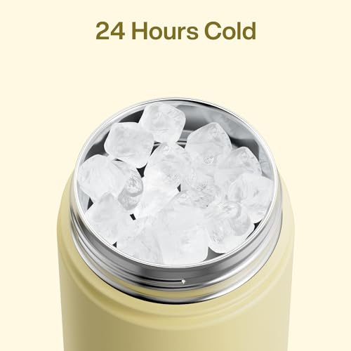 Insulated Water Bottle with Straw Stainless Steel Water Bottle