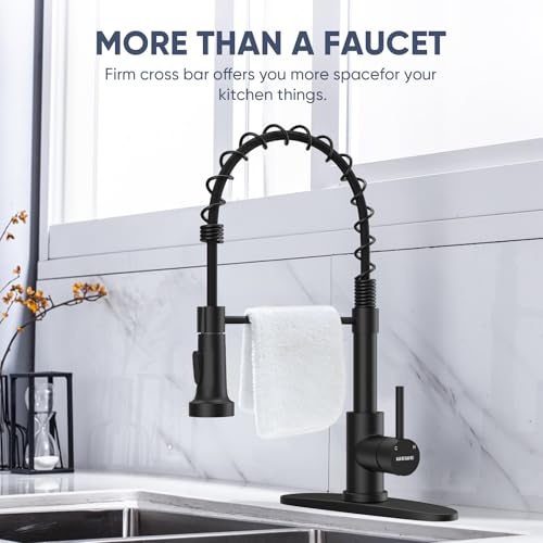 Pull Down Kitchen Faucet (17 inch(es))