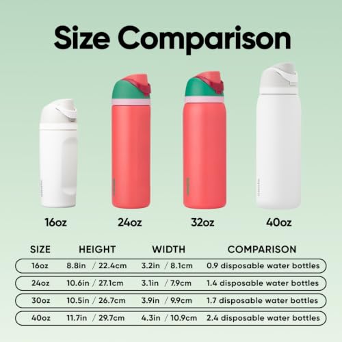 FreeSip Stainless Steel Water Bottle 24 oz Strawberry Fields