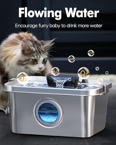 Dog Water Fountain 2 Gal