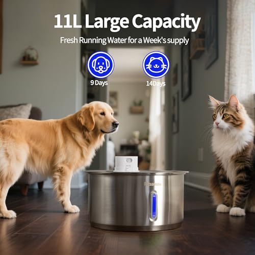 2.8Gal 11L Cordless Dog Water Fountain for Large Dogs