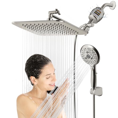 10'' Dual 20 Stage Filtered Shower Head with Handheld