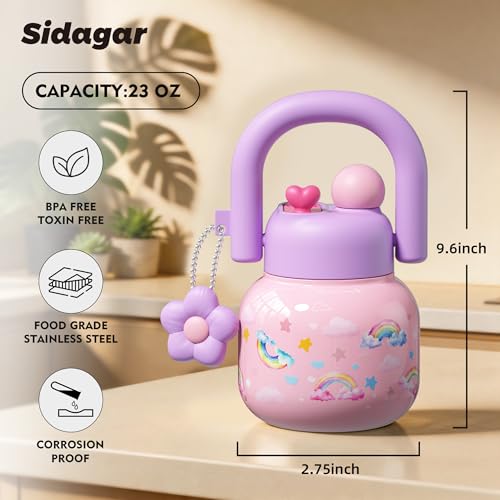 22 oz Tote Insulated Water Bottle with Handle