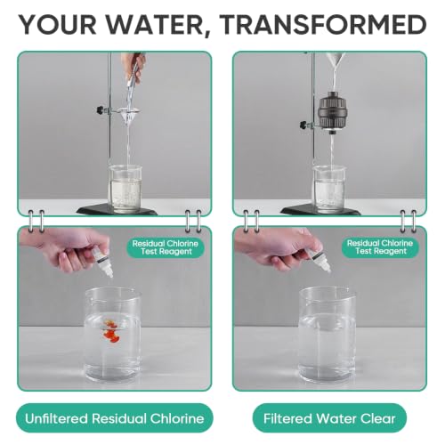 High Pressure Filtered Shower Head with Filters for Hard Water Combo