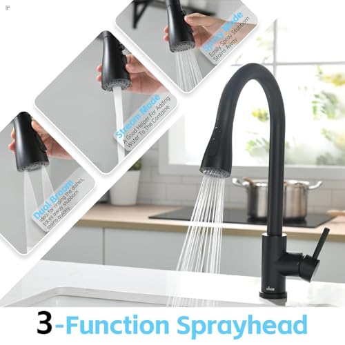 Black Kitchen Faucet with Soap Dispenser