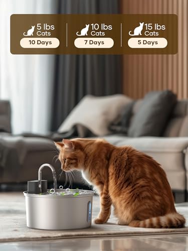 Wireless Cat Fountain 10 Filters