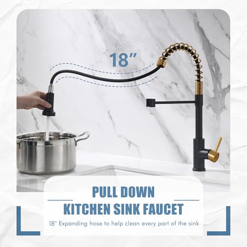 Black and Gold Kitchen Faucet with Pull Down Sprayer