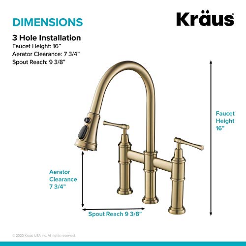 Allyn Transitional Bridge Kitchen Faucet with Pull