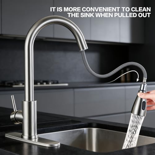 Kitchen Faucet with Pull Down Sprayer