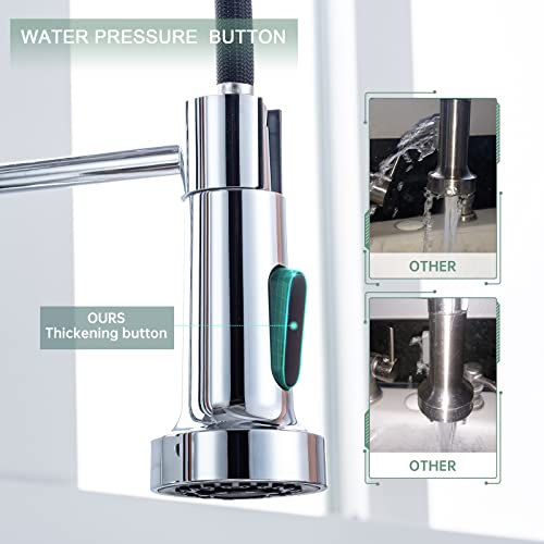 Pull Down Kitchen Faucet