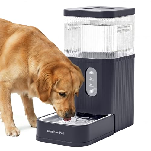2.9 Gallon Automatic Dog Water Dispenser with Stainless Steel Bowl