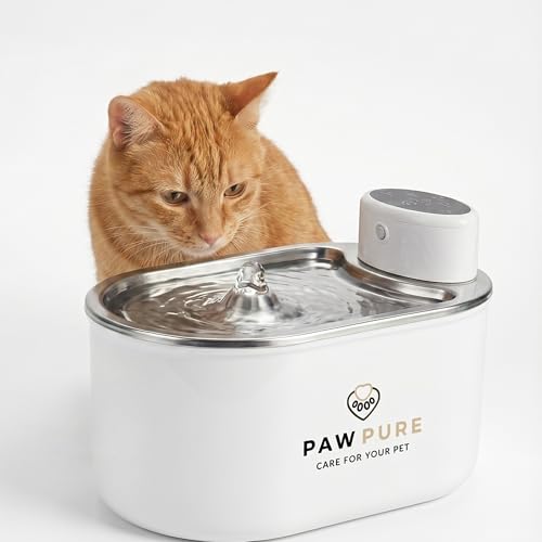 Cat Water Fountain Stainless Steel & Cordless Dog Water Fountain