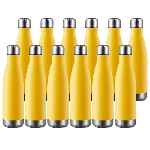17oz Sport Water Bottle 12 Pack Vacuum Insulated Stainless Steel Leak
