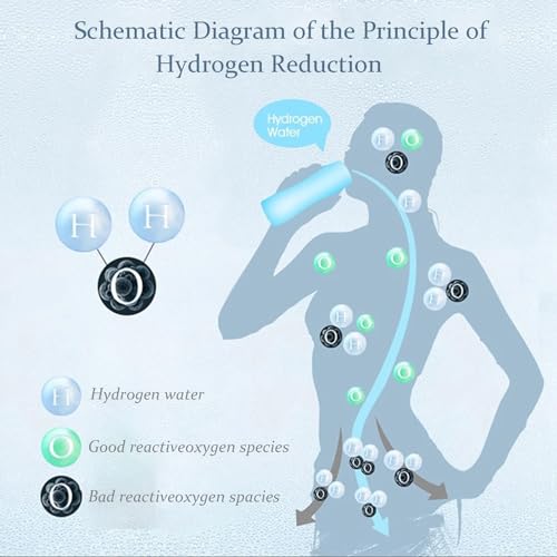 2024 Hydrogen Water Bottle