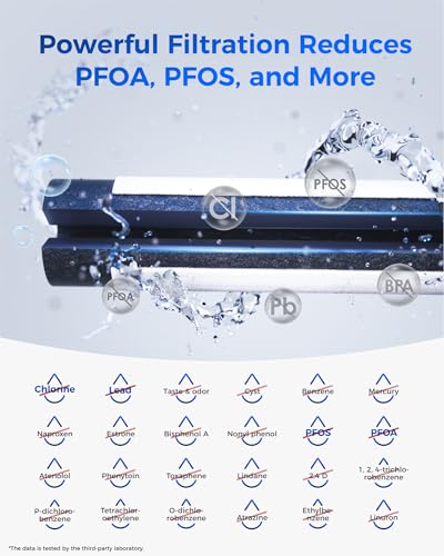 Plus Water Filter (2 Count)