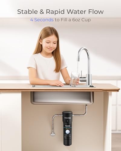 RF10 Water Filter Replacement for Waterdrop 10UA