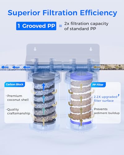 WF10BG Whole House Water Filter for WHF21 (2 Count)
