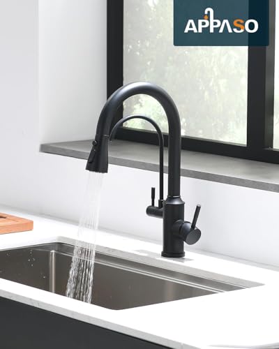 Kitchen Faucet with Water Filter