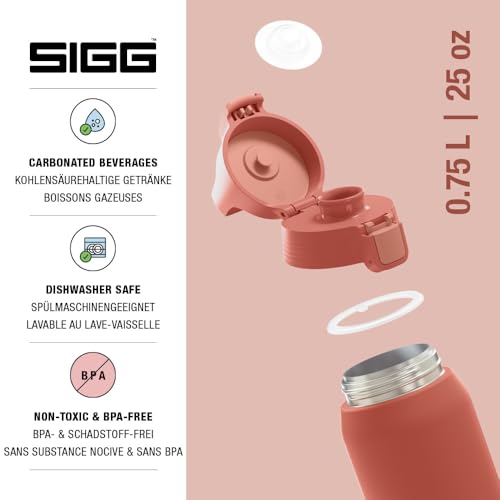 Insulated Water Bottle