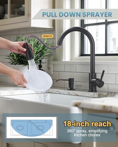 Black Kitchen Faucet with Soap Dispenser