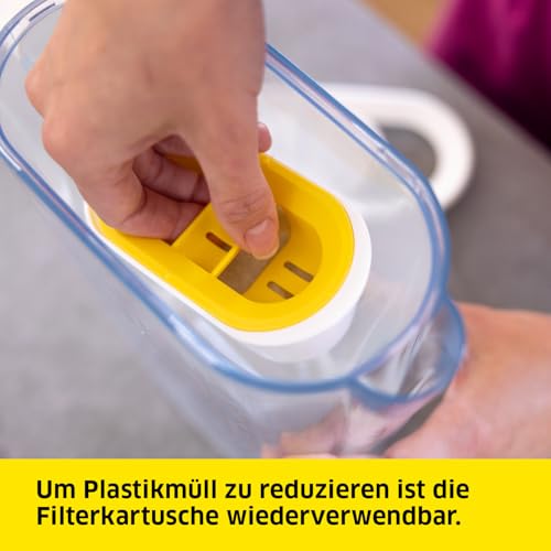 Karcher WFP 12 Filter Jug + 3 Filters