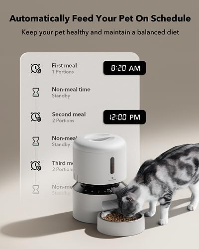 Automatic Cat Feeder