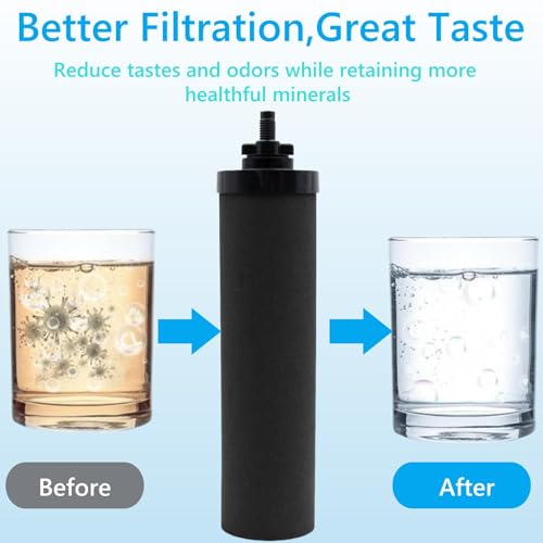 Water Filters Replacement for Berkey (4 Count)