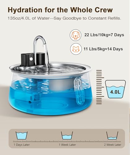 Cordless Cat Water Fountain