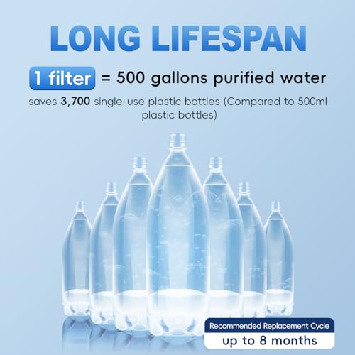 DF2 CHR Faucet Water Filter for Kitchen