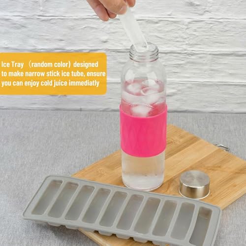 18oz Glass Juice Bottles with Stainless Steel Lid Leak Proof 10 Pack (10 Count)
