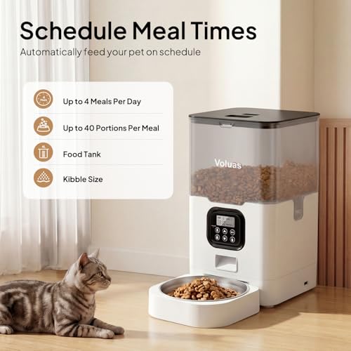 Automatic Cat Feeder