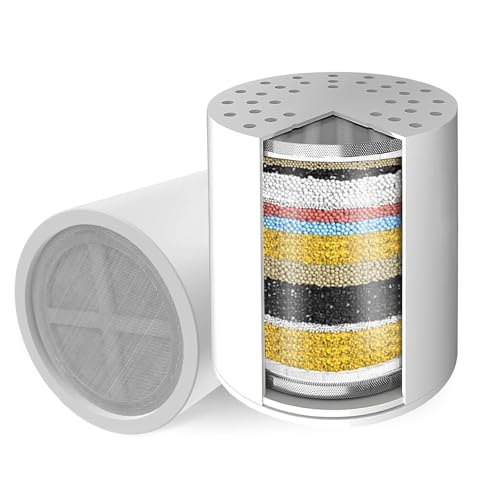 2 Pack Replacement Shower Filter Cartridge (2 Count)