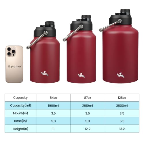 87 oz Insulated Stainless Steel Water Bottle Jug with Handle