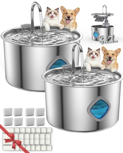 Dog Water Bowl