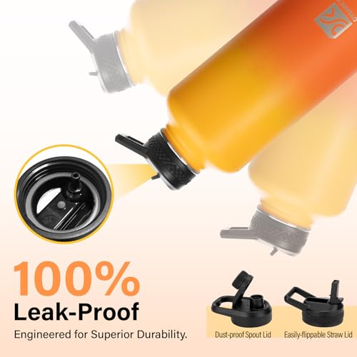 Insulated Water Bottle