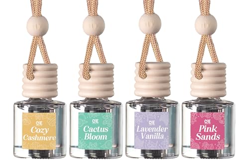 Hanging Car Air Freshener (4 Count)