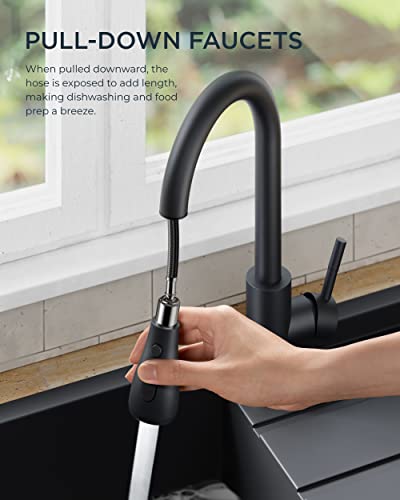 Black Kitchen Faucet with Pull Down Sprayer