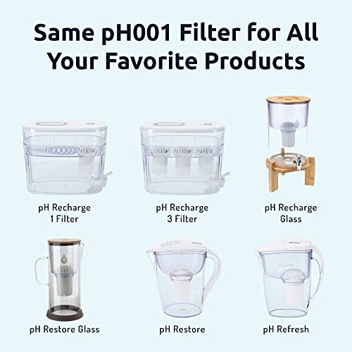 PH001 Black Alkaline Water Filter Replacement (3 Count)