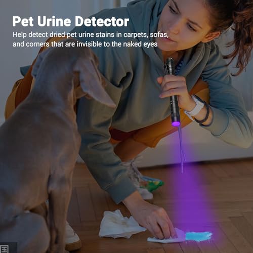 UV Black Light Flashlight Mini