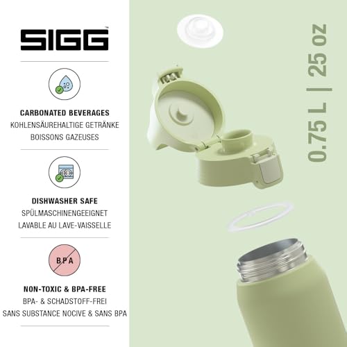 Insulated Water Bottle