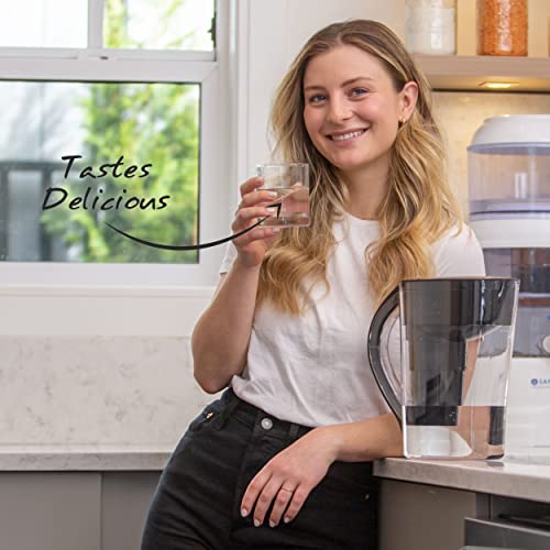 Single Replacement MINA Alkaline Water Filter by Santevia