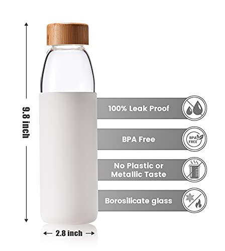 25 Oz Borosilicate Glass Water Bottles with Bamboo Lid