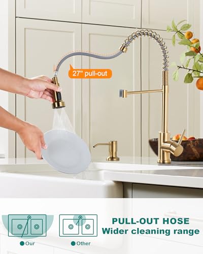 Kitchen Sink Faucet with Soap Dispenser