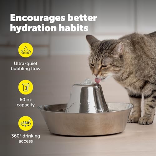 Seaside Stainless Pet Fountain
