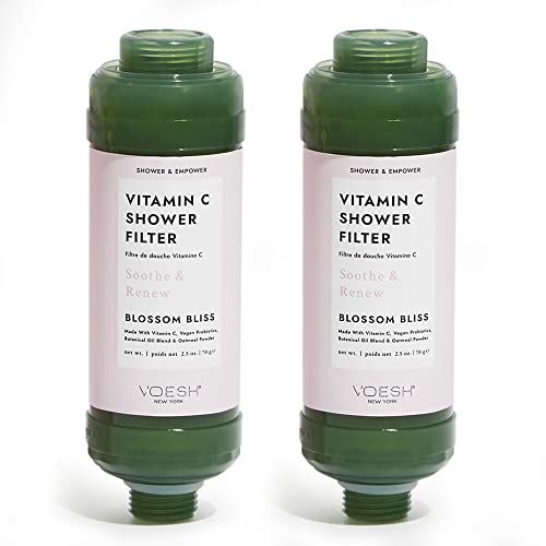 Vitamin C Shower Filter (2 Count)